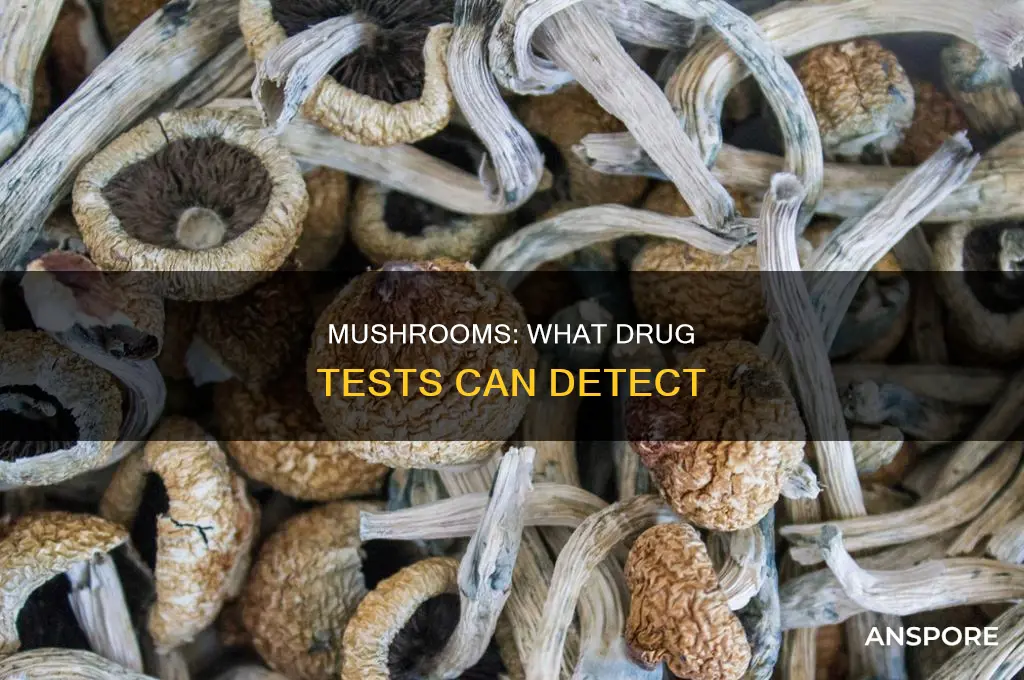 are mushrooms on a 10 panel drug test