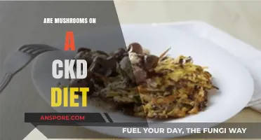 CKD Diets: Are Mushrooms a Friend or Foe?