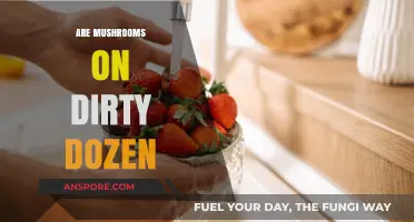 Dirty Dozen: Are Mushrooms Safe to Eat?