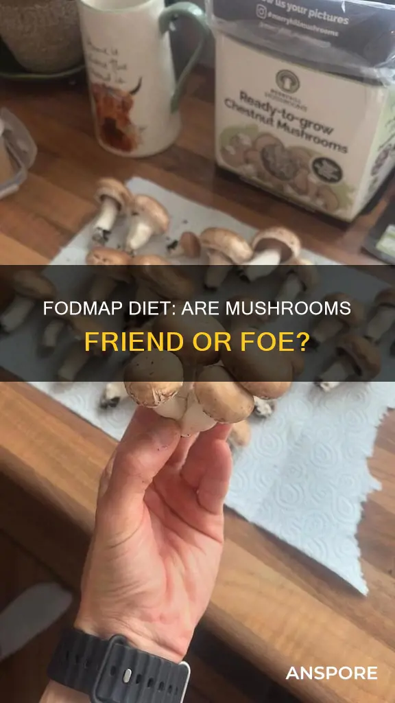 are mushrooms on fodmap diet