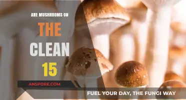 Clean 15 Mushrooms: Are They Safe to Eat?