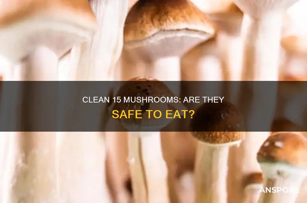 are mushrooms on the clean 15