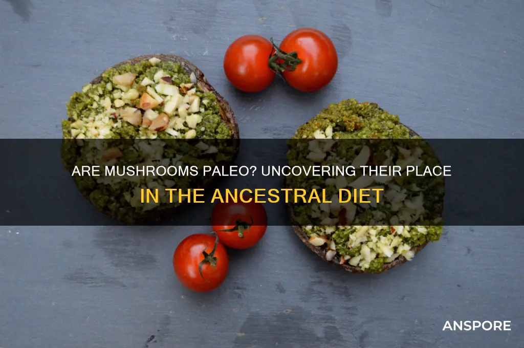 are mushrooms on the paleo diet