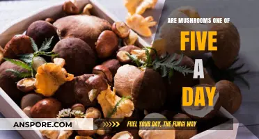 Mushrooms: A Healthy Five-a-Day Option?