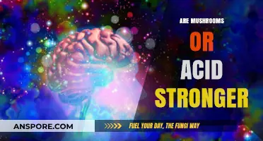 Psychedelics: Shrooms vs Acid, Which is Stronger?