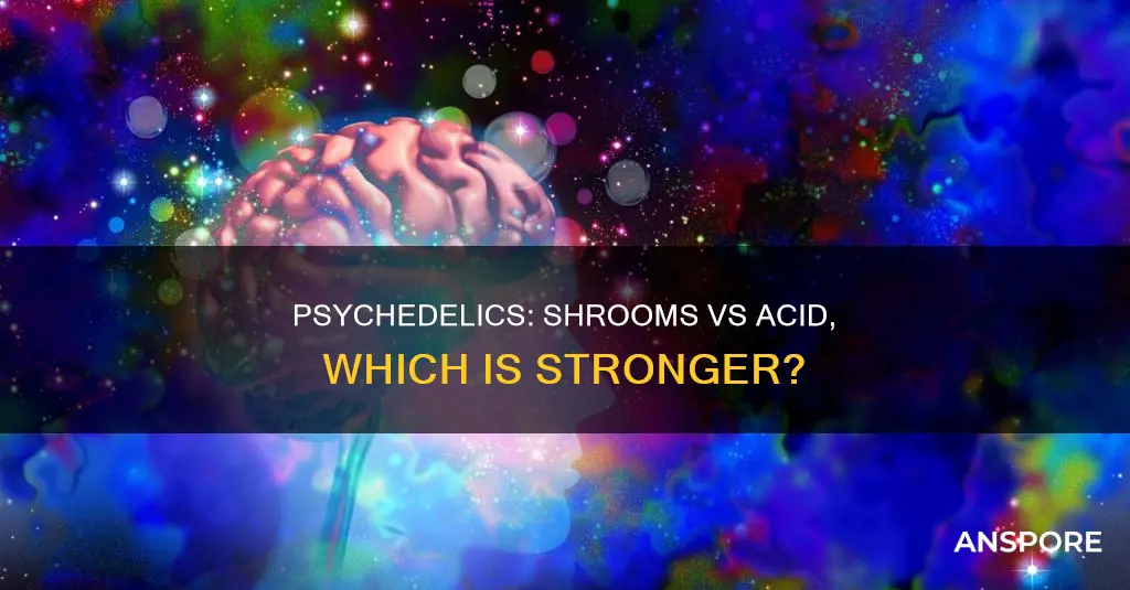 are mushrooms or acid stronger