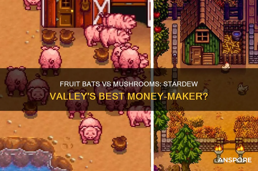 are mushrooms or fruit bats better stardrew valley