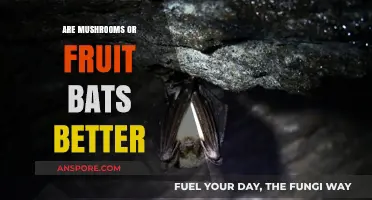 Mushrooms vs Fruit Bats: Which is Superior?