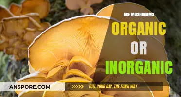 Mushrooms: Organic or Inorganic?