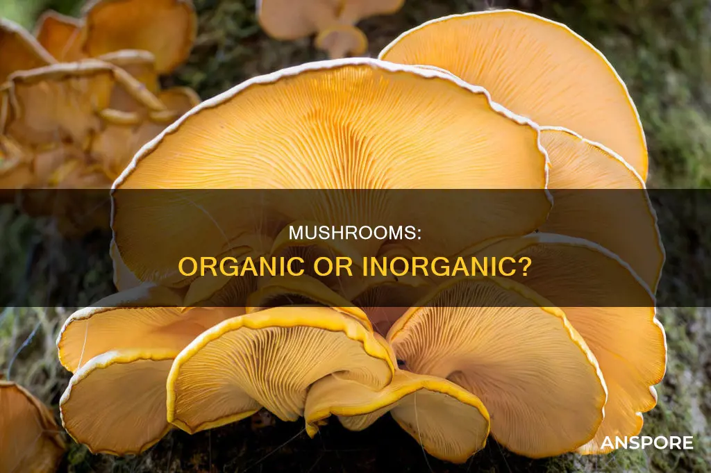 are mushrooms organic or inorganic