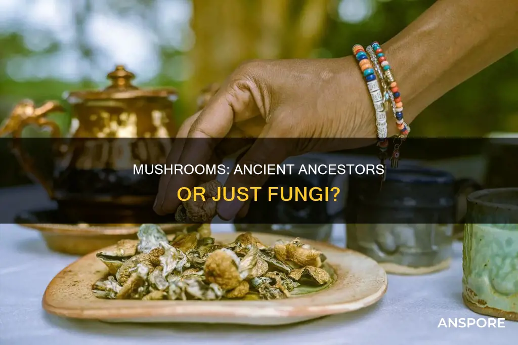 are mushrooms our ancestors