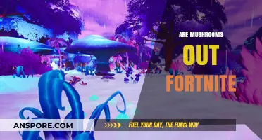Fortnite's Mushroom Mystery: What's the Deal?