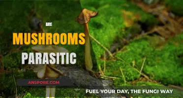 Mushrooms: Friend or Foe of Their Hosts?