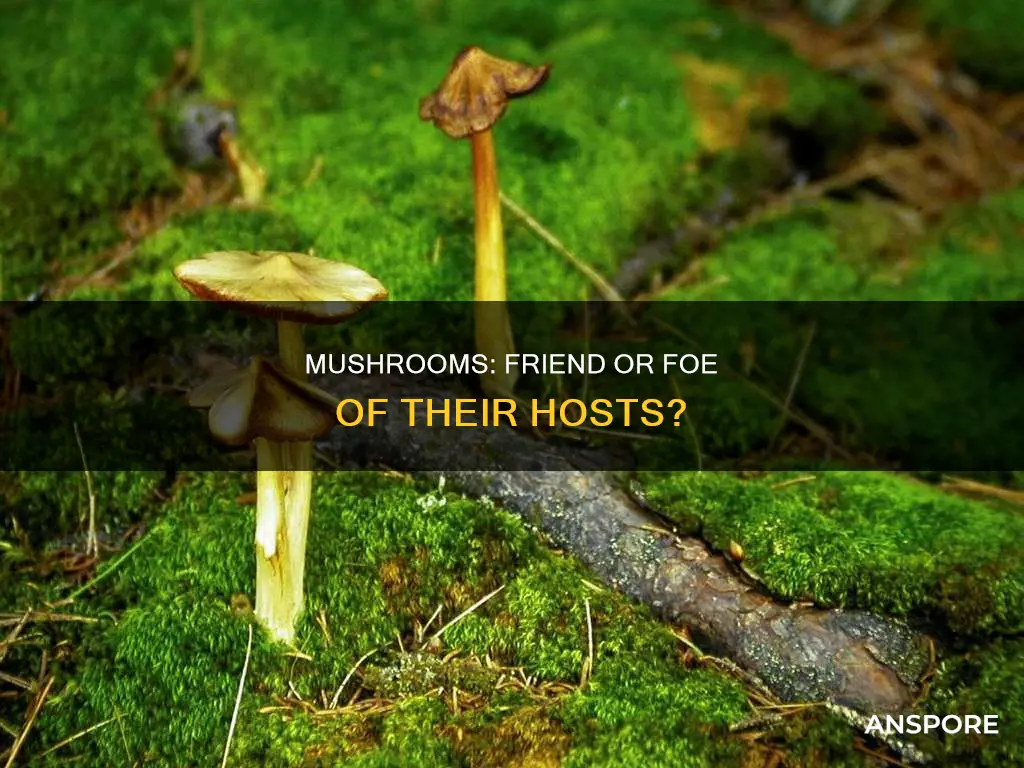 are mushrooms parasitic