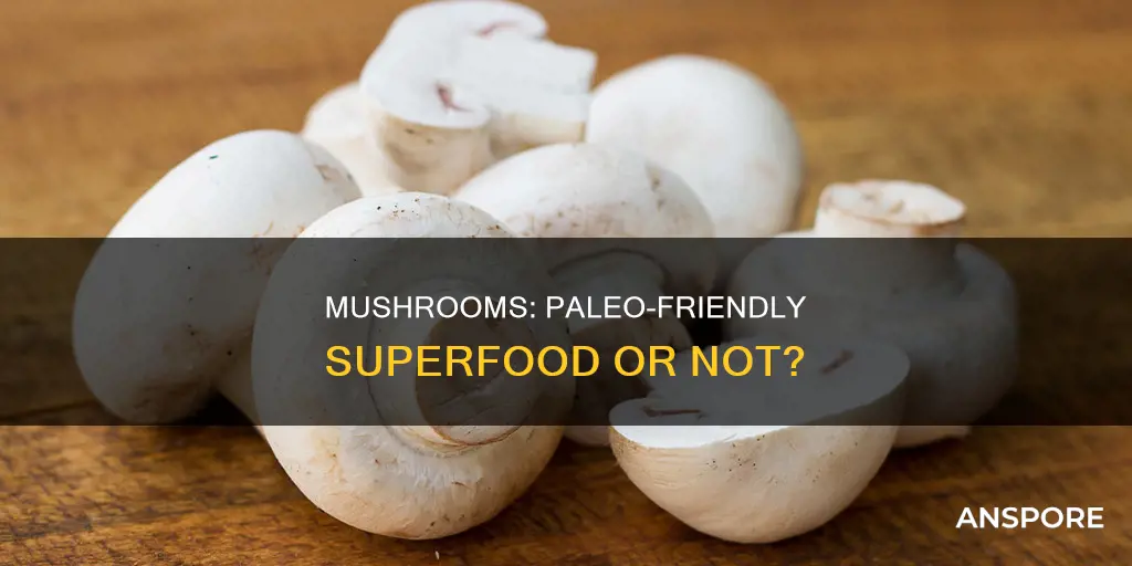 are mushrooms part of paleo