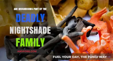 Deadly Nightshade Family: Are Mushrooms Related?
