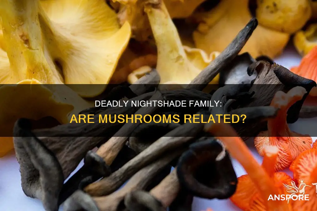 are mushrooms part of the deadly nightshade family
