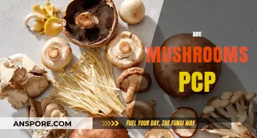 Mushrooms and PCP: What's the Connection?