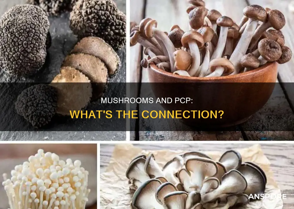 are mushrooms pcp
