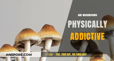 Mushrooms: Physically Addictive or Just a Habit?