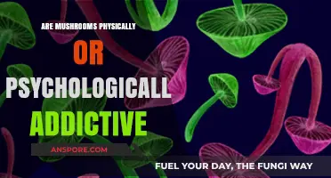 Mushrooms: Physically or Psychologically Addictive?