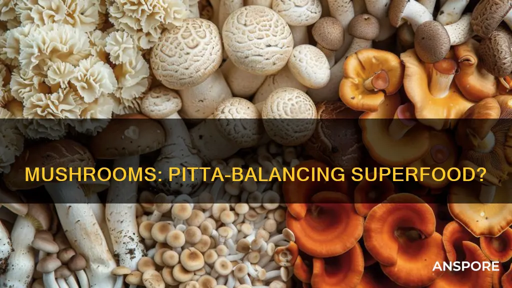 are mushrooms pitta balancing
