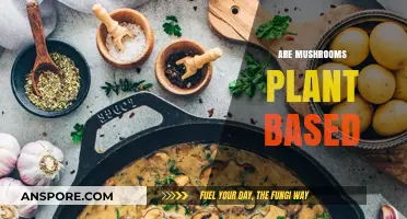 Mushrooms: Plant-Based or Not?