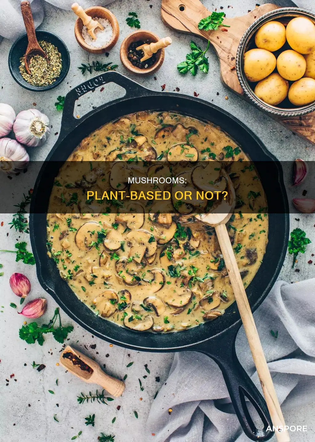 are mushrooms plant based