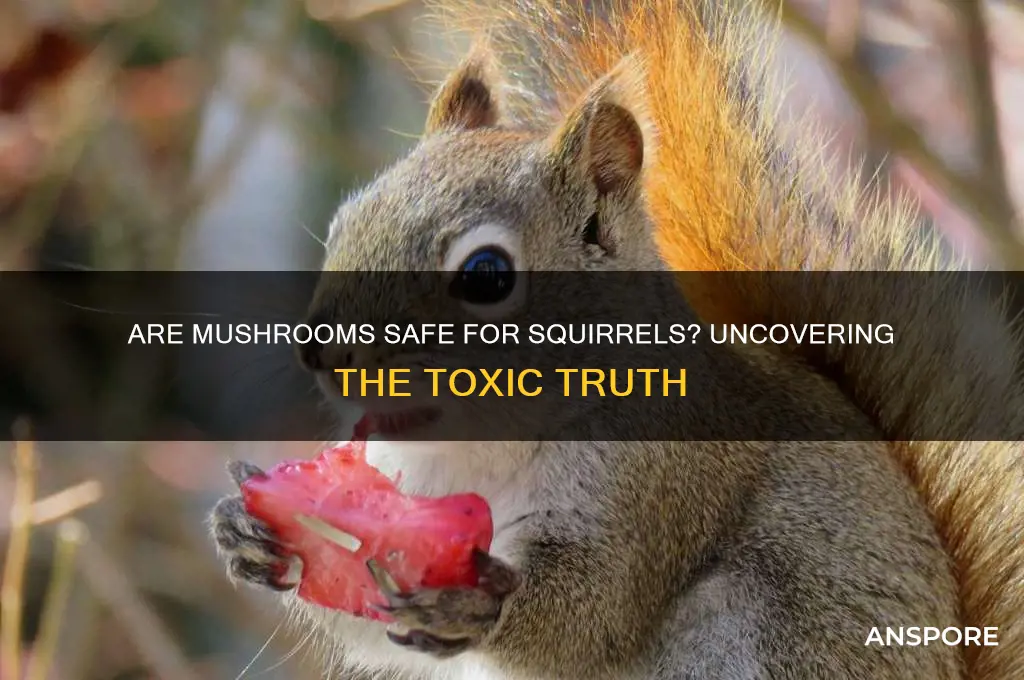 are mushrooms poisonous to squirrels