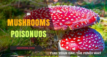 Mushrooms: Poisonous or Not?