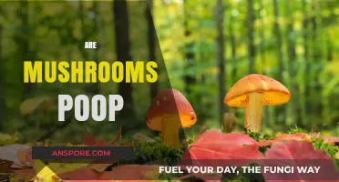 Mushrooms: Nature's Magical Poop?