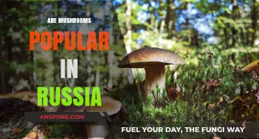 Mushrooms in Russia: A Culinary Favorite?