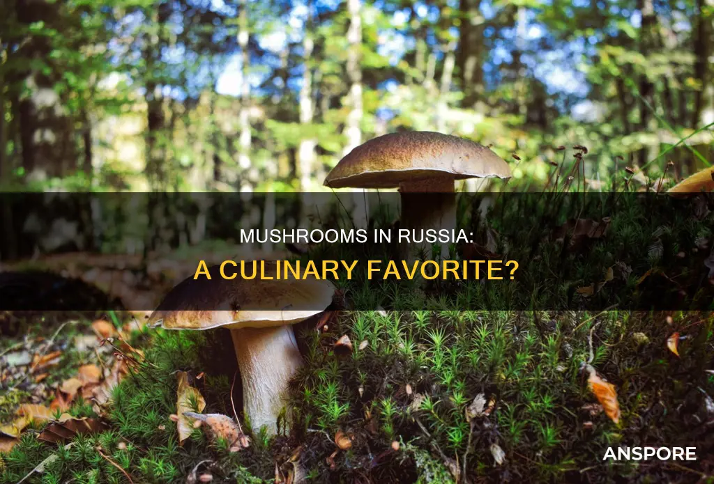 are mushrooms popular in russia