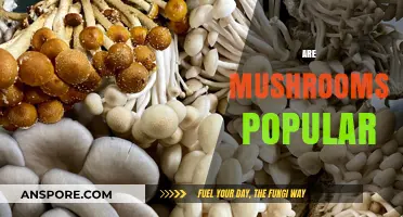 Mushrooms: Why are they so Popular?