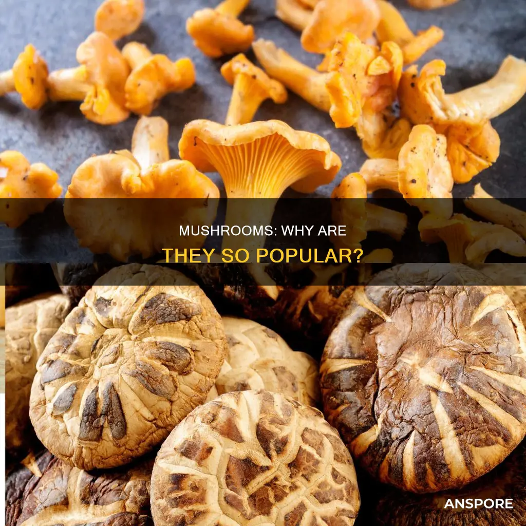 are mushrooms popular