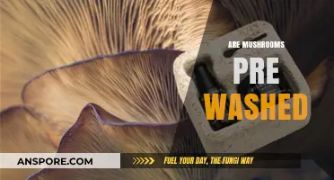 Mushroom Mystery: Are Store-Bought Mushrooms Pre-Washed?