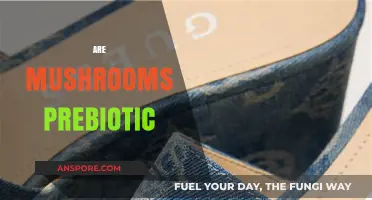 Mushrooms: Prebiotic Superfood for Gut Health