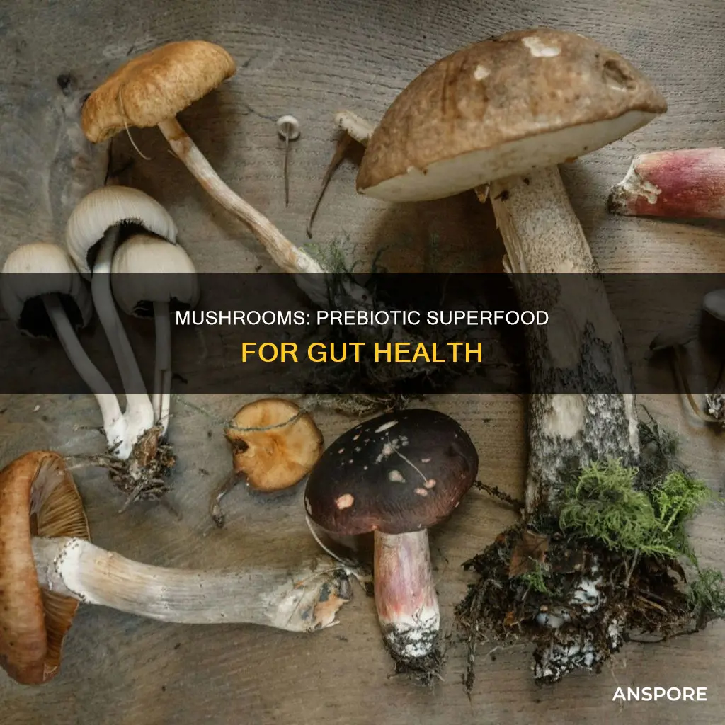 are mushrooms prebiotic