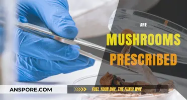 Mushrooms: Prescription-Worthy Super Fungi?