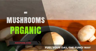 Mushrooms: Organic Superfood or Not?