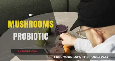 Mushrooms: Probiotic Superfood or Just a Fungi?