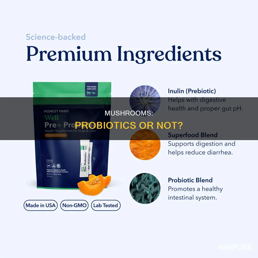are mushrooms probiotics