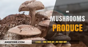 Mushrooms: Nature's Produce or Fungi?
