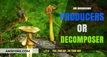 Mushrooms: Nature's Decomposing Producers