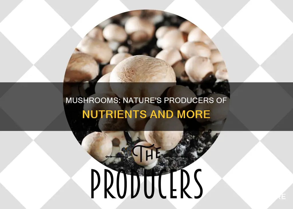 are mushrooms producers