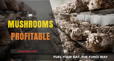 Mushrooms: A Profitable Crop for Farmers?