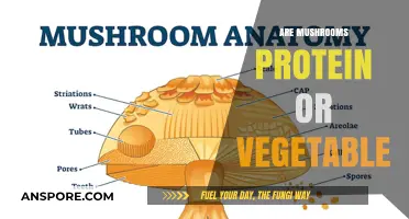 Mushrooms: Protein, Veggie, or Both?