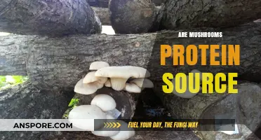 Mushrooms: A Surprising Source of Protein?