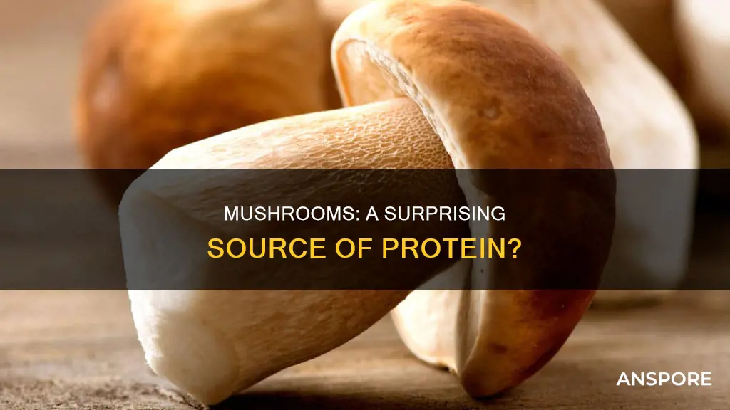 are mushrooms protein source