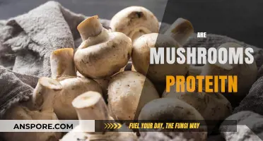 Mushrooms: A Surprising Protein Source?